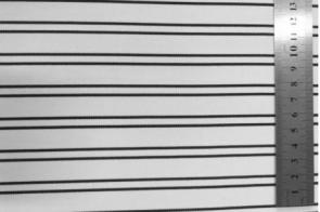 Georgette Pomar Elástico... 2