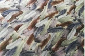 Mikado Plumas